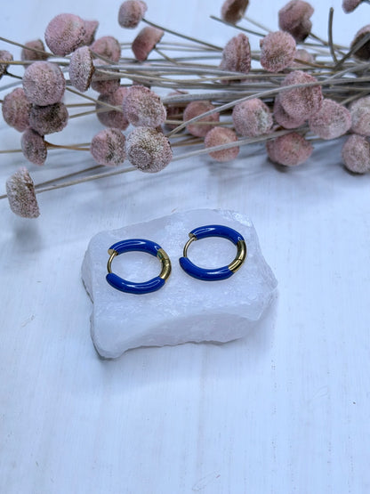 Amina Earrings