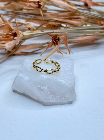 Chain Ring